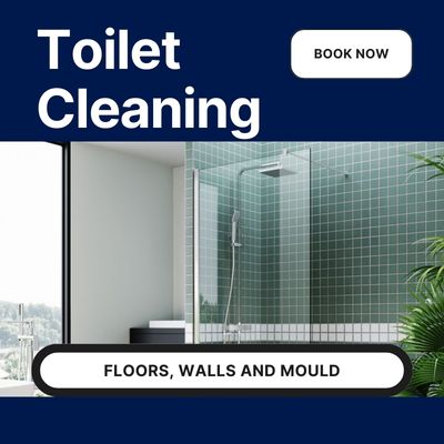 High Pressure Cleaning Toilet Cleaning Pressure Cleaning